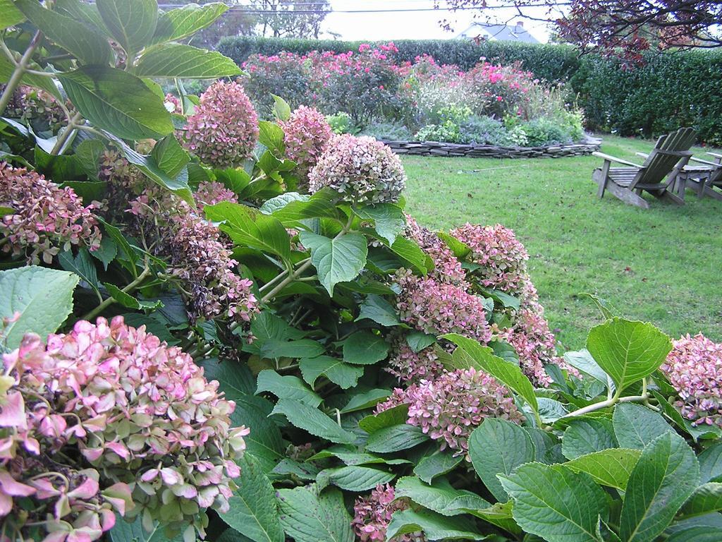 Shorecrest Bed And Breakfast Southold Esterno foto
