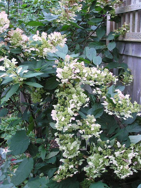 Shorecrest Bed And Breakfast Southold Esterno foto