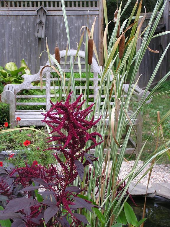 Shorecrest Bed And Breakfast Southold Esterno foto