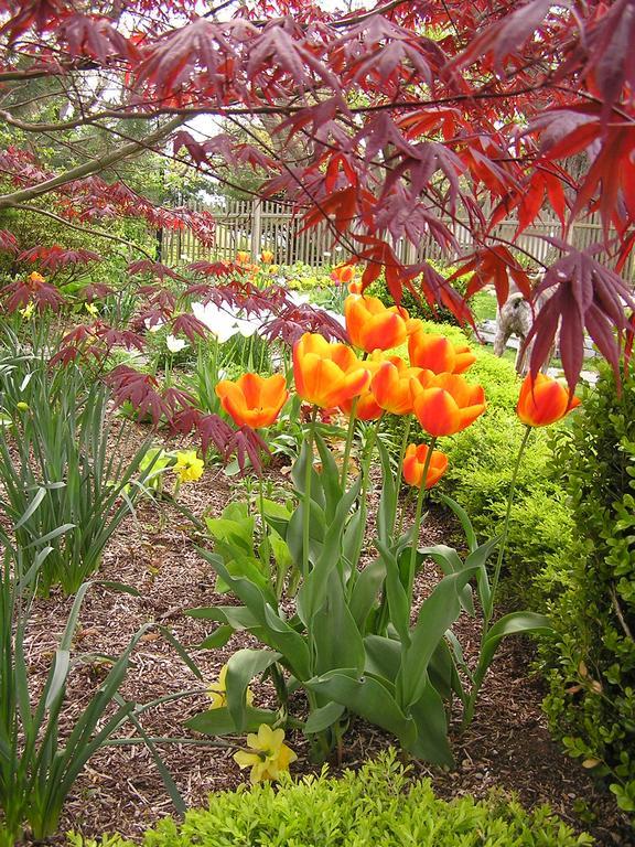 Shorecrest Bed And Breakfast Southold Esterno foto
